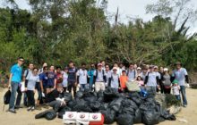 Rewarding day at Chek Jawa coastal clean-up