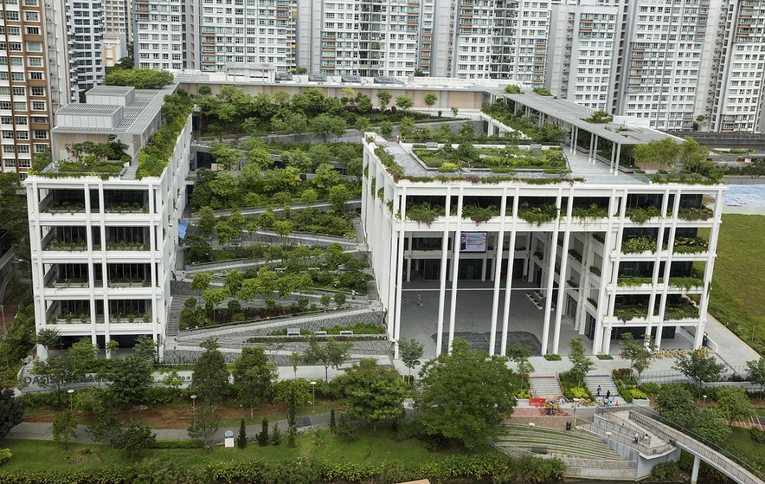 绿洲台